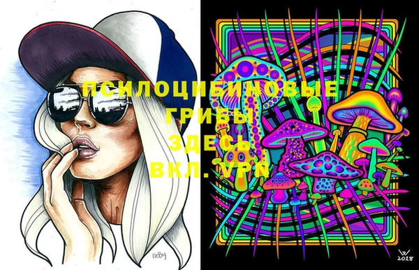 jwh Вязьма