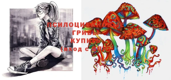 jwh Вязьма