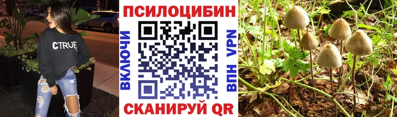 Галлюциногенные грибы Psilocybine cubensis  Зея 